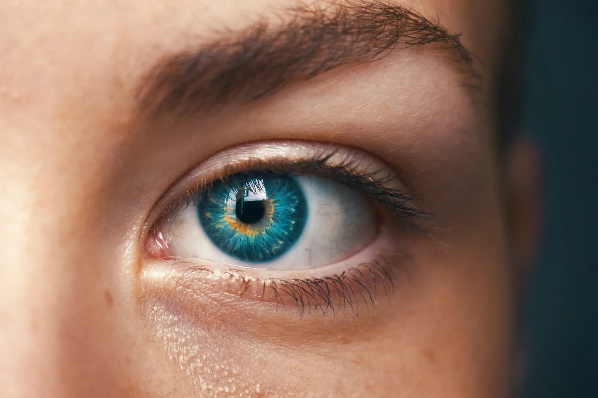 Navigating Global Privacy: Understanding the 5 Eyes, 9 Eyes, and 14 Eyes Alliances