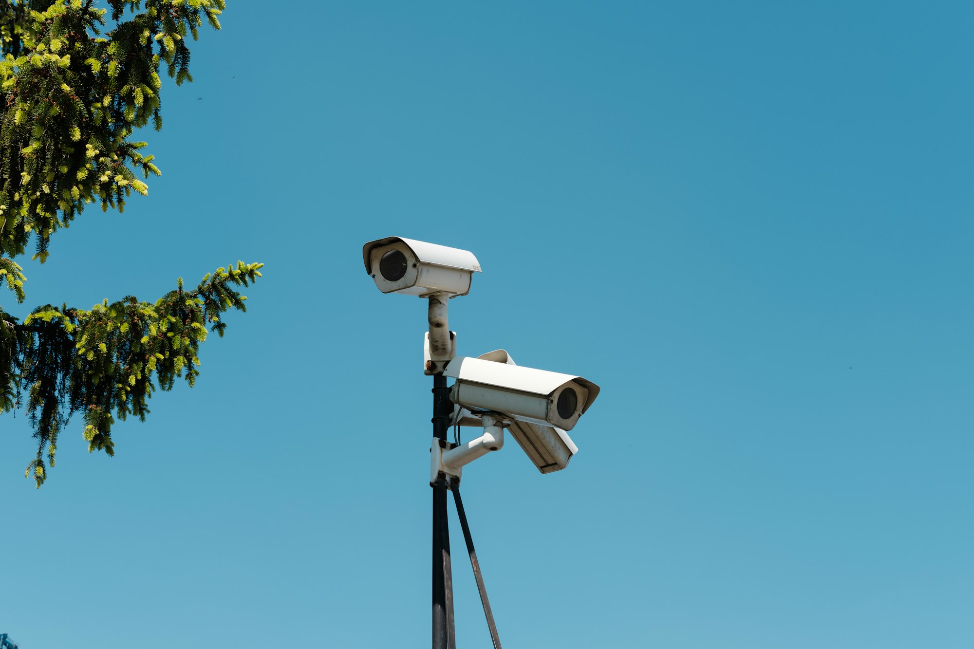 Federal Surveillance Exposed: How CBP Gained Secret Access to Over 80,000 AI Cameras Nationwide