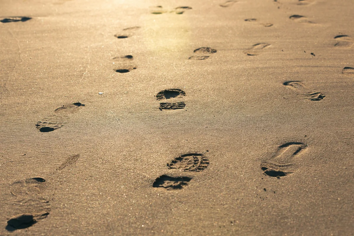 Digital Footprint Monitoring: Managing Your Online Privacy Amid Third-Party Breaches