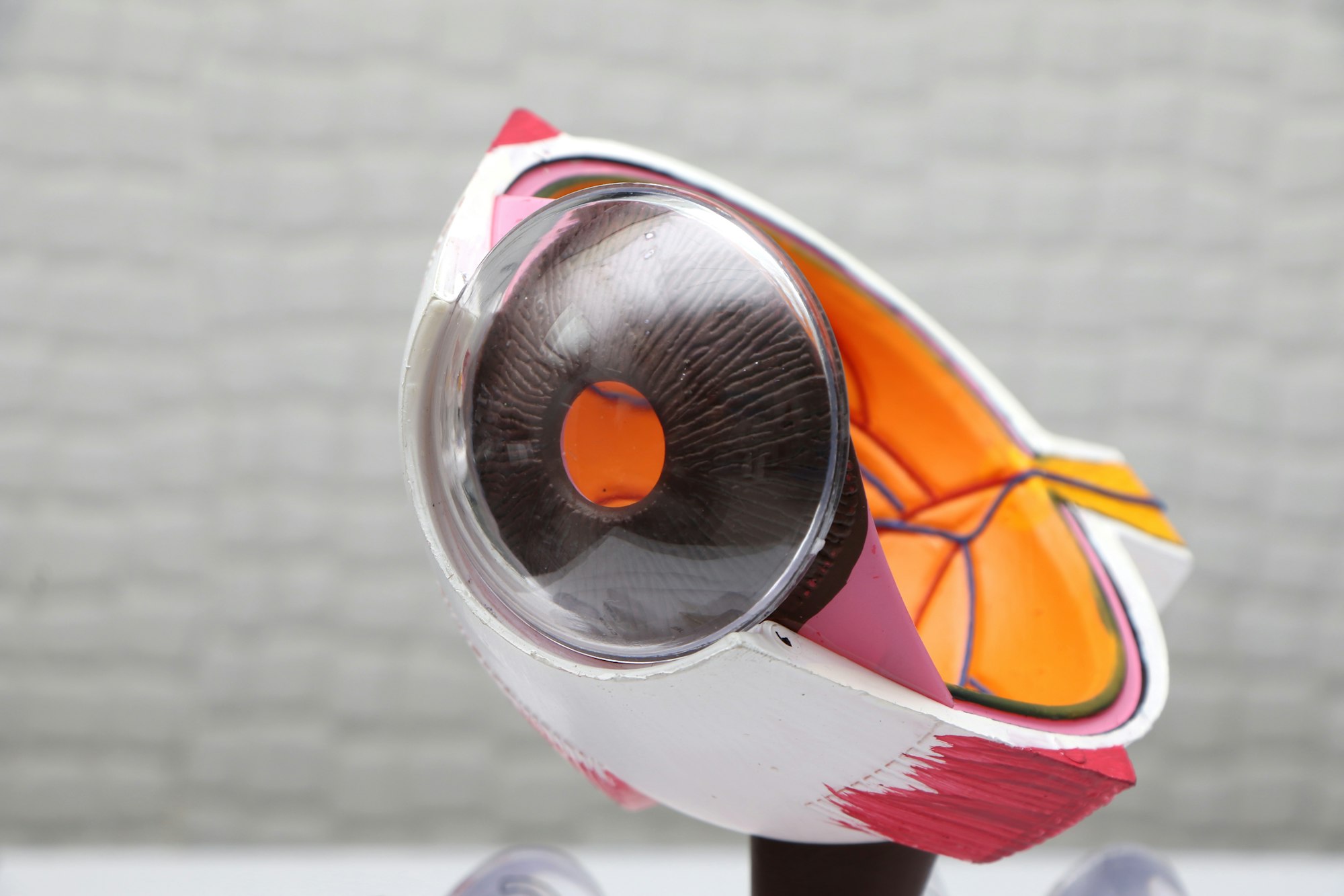 World's Iris-Scanning Technology: A Privacy Perspective on the Future of Digital Identity