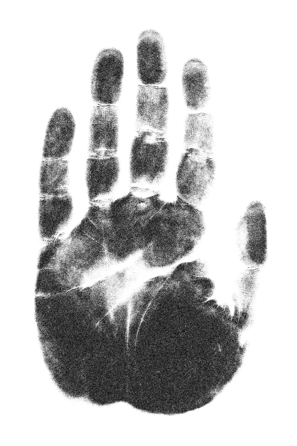 Arizona Enacts Biometric Digital ID Law for Adult Websites: Privacy vs. Protection